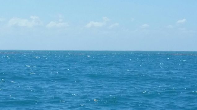 c6dc872e-0159-4ec8-94c4-c45c77074590