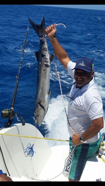 eb22f68c-1182-45be-8ff2-7ca50771d357