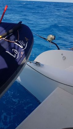 WhatsApp Image 2017-09-18 at 09.26.54.jpeg