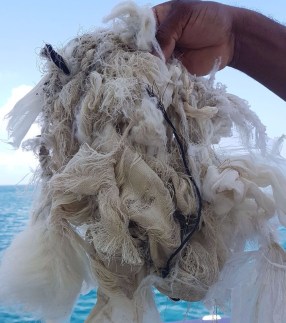 WhatsApp Image 2017-10-02 at 07.46.46