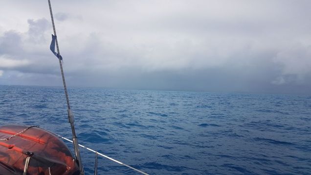 WhatsApp Image 2017-10-10 at 06.35.41.jpeg