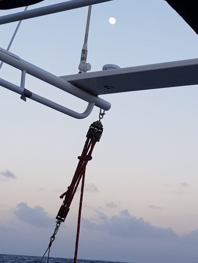 WhatsApp Image 2017-12-02 at 22.12.52