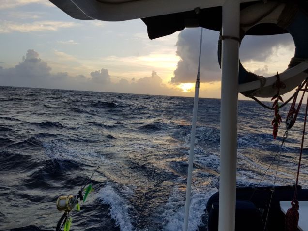 WhatsApp Image 2017-12-02 at 22.12.56