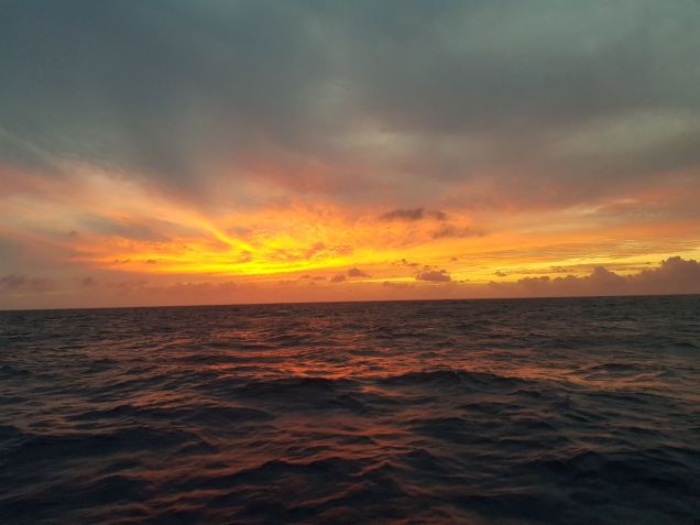 WhatsApp Image 2017-12-02 at 22.50.19