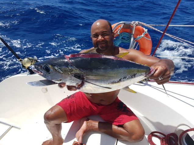 WhatsApp Image 2017-12-02 at 22.52.59