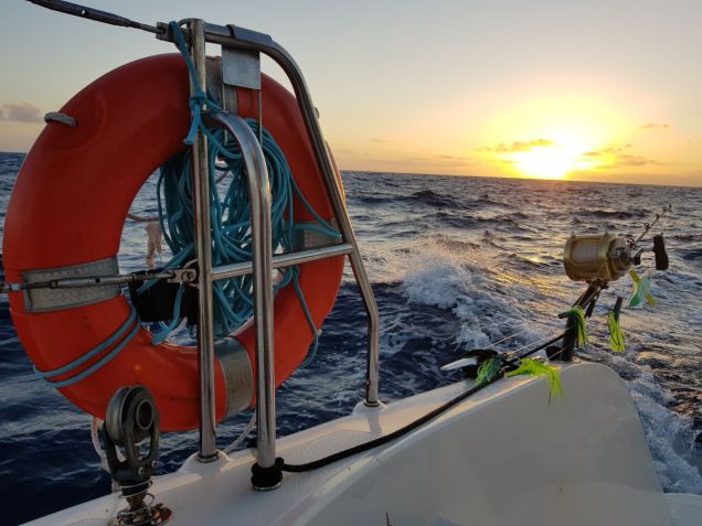 WhatsApp Image 2017-12-02 at 23.04.36