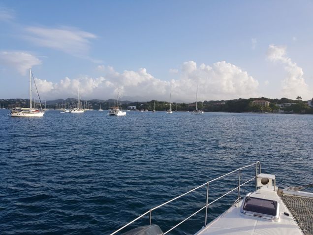 WhatsApp Image 2017-12-03 at 09.36.45.jpeg