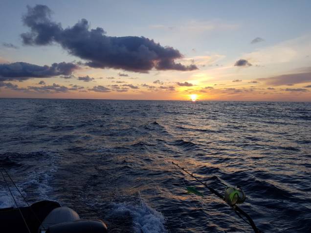 WhatsApp Image 2018-06-02 at 08.03.47.jpeg