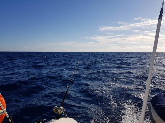 WhatsApp Image 2018-06-02 at 08.05.53.jpeg