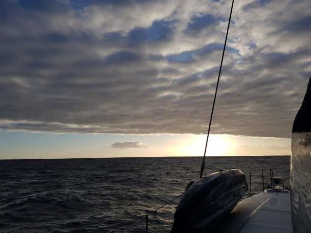 WhatsApp Image 2018-06-02 at 08.07.22.jpeg