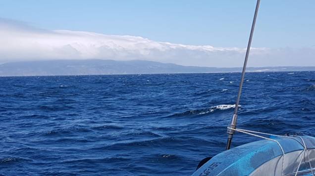 WhatsApp Image 2018-06-02 at 09.02.56.jpeg