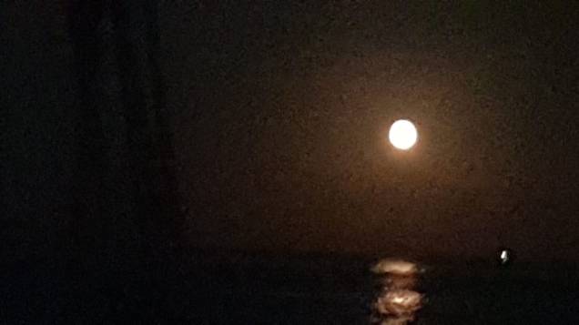 WhatsApp Image 2018-08-27 at 16.48.51