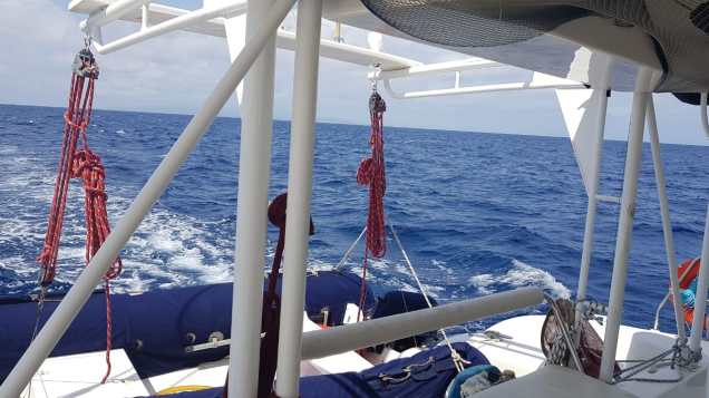 WhatsApp Image 2018-09-13 at 08.41.41.jpeg