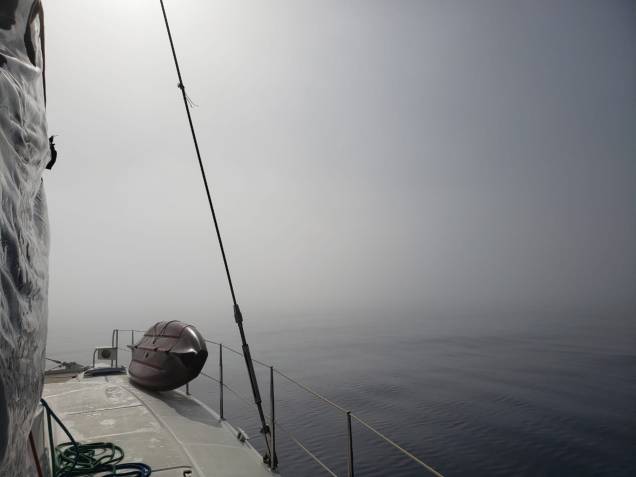 WhatsApp Image 2019-06-13 at 04.46.09