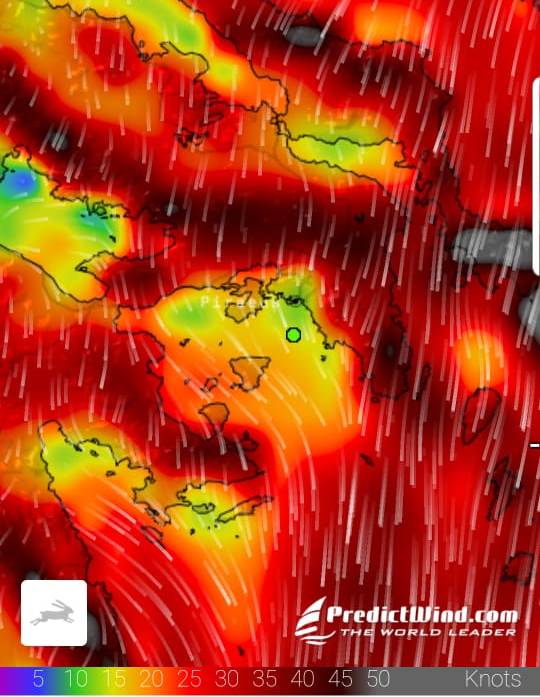 WhatsApp Image 2019-06-26 at 05.44.48